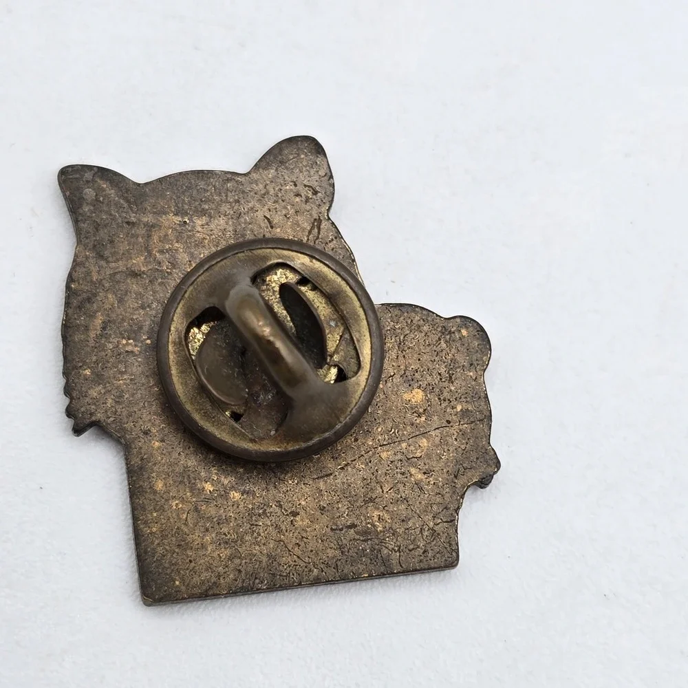Boy Scouts of America‎ BSA Tiger Cubs Lapel Pin Vtg